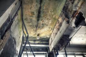 Best Comprehensive Air Testing for Mold Contaminants  in Logan, IA